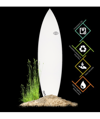 CARANGUE - Shortboard perf Comparez plus de prix