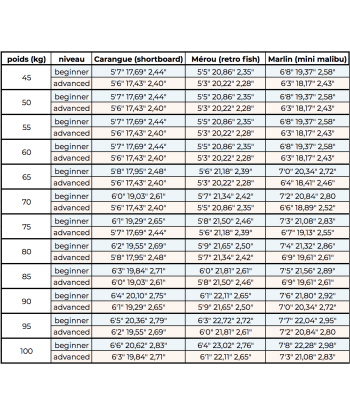 CARANGUE - Shortboard perf Comparez plus de prix