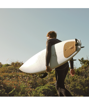 PADS DE SURF EN LIÈGE s'inspire de l'anatomie humaine