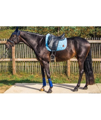 Tapis de selle EXCEL-ANSE dressage bleu ciel Par le système avancé 