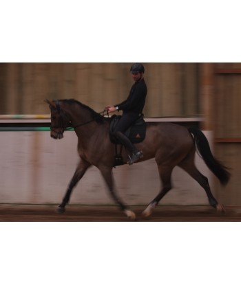 Tapis de selle EXCEL-ANSE dressage noir ou a consommer sur place