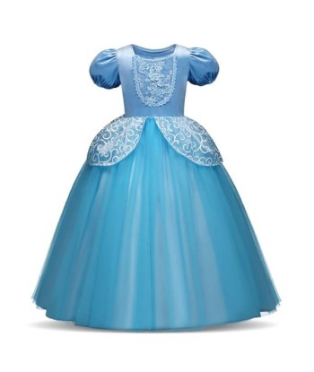 Robe Princesse Cendrillon Fille le des métaux précieux