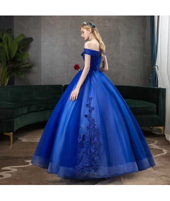 Robe de Princesse Bleue Femme pas cher chine