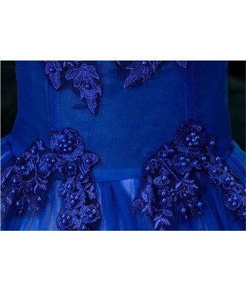 Robe de Princesse Bleue Femme pas cher chine