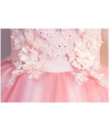 Robe de Princesse Femme Dentelle 50-70% off 