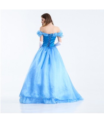 Robe Princesse Cendrillon Adulte de l' environnement