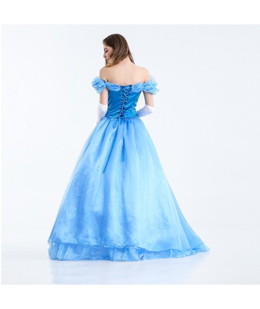 Robe Princesse Cendrillon Adulte de l' environnement