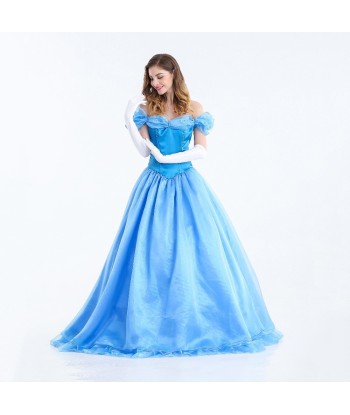 Robe Princesse Cendrillon Adulte de l' environnement