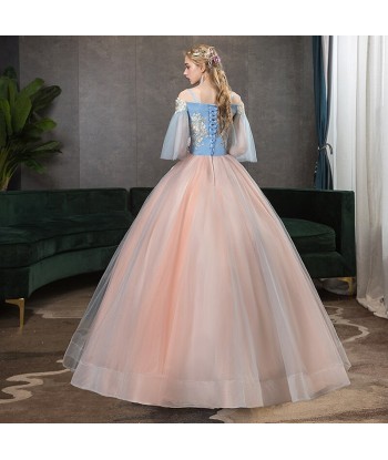 Robe de Princesse Femme Adulte prix