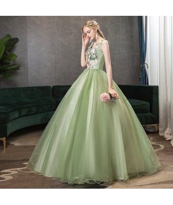 Robe Longue de Princesse Adulte la chaussure