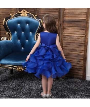 Robe de Princesse Bleu 2023