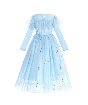 Robe de Princesse Déguisement brillant des détails fins