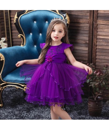 Déguisement Robe Princesse Violette Le MVP de beaucoup