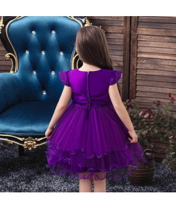 Déguisement Robe Princesse Violette Le MVP de beaucoup