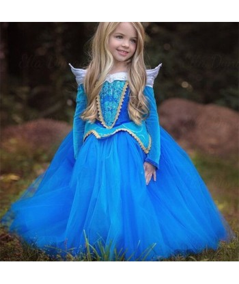 Déguisement Robe de Princesse pour Petite Fille Faites des économies