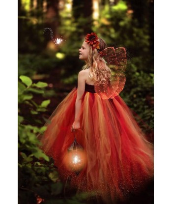 Robe de Princesse Orange des créatures d'habitude