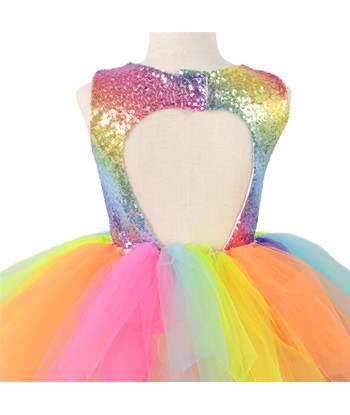 Déguisement Princesse Multicolore solde