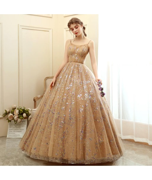 Robe de Soirée Longue Forme Princesse de France