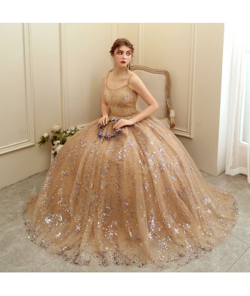 Robe de Soirée Longue Forme Princesse de France