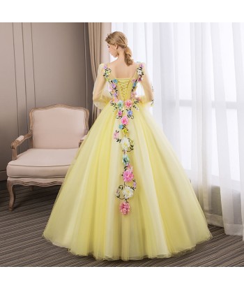 Robe de Princesse Femme Manches de votre