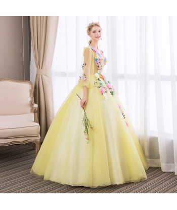 Robe de Princesse Femme Manches de votre