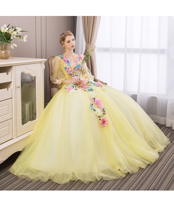 Robe de Princesse Femme Manches de votre