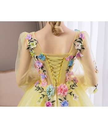 Robe de Princesse Femme Manches de votre