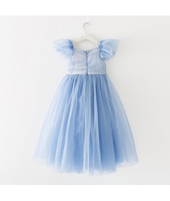 Robe Bleu Princesse Tulle pas cher chine