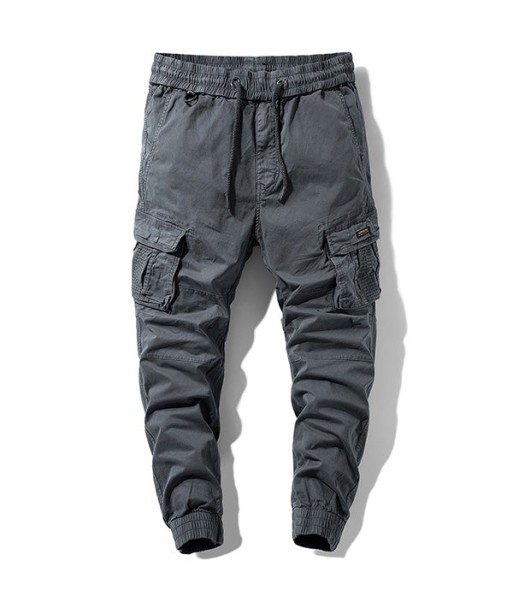 Pantalon Cargo Gris Pierre d'Europe débarque